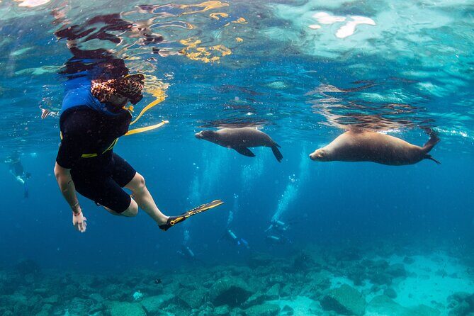 Balandra Bay Snorkeling Adventure - In-Depth Review of the Balandra Bay Snorkeling Adventure