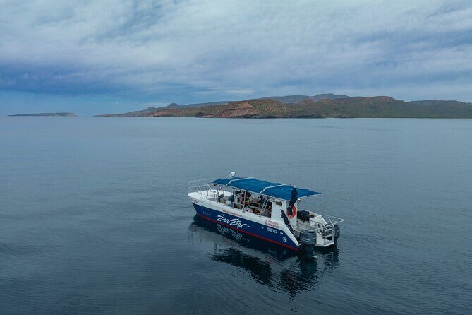 Balandra Bay Snorkeling Adventure - Authentic Experiences and Honest Impressions