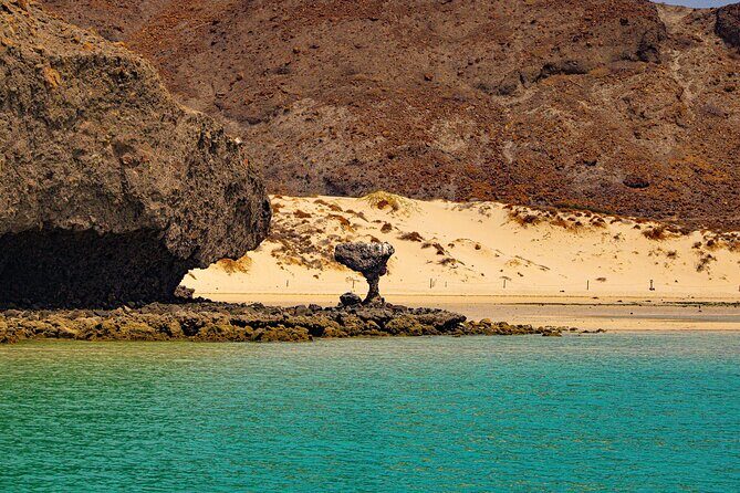 Balandra Beach Escape with Snorkeling and Wildlife Watching - What to Expect from Your Balandra Beach Experience