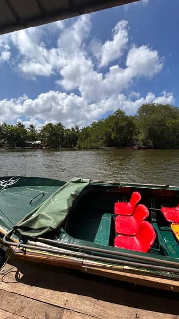 Balapitiya: Madu River Boat Tour - Key Points