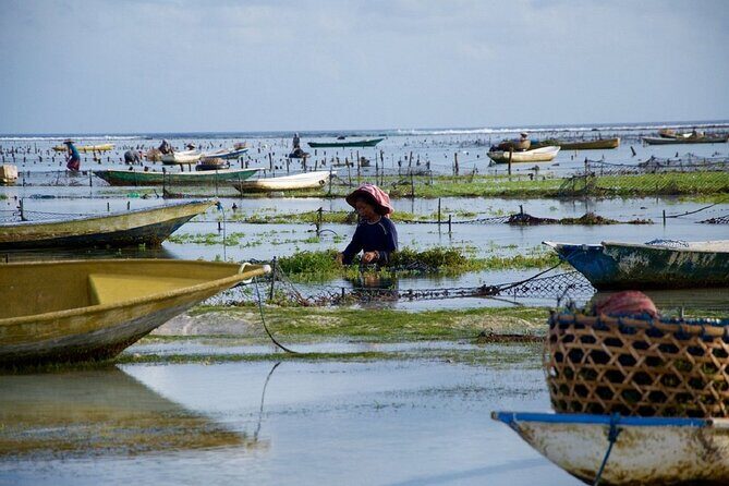 Bali 2 Days and 1 Nights of Nusa Penida and Lembongan Tour - FAQ
