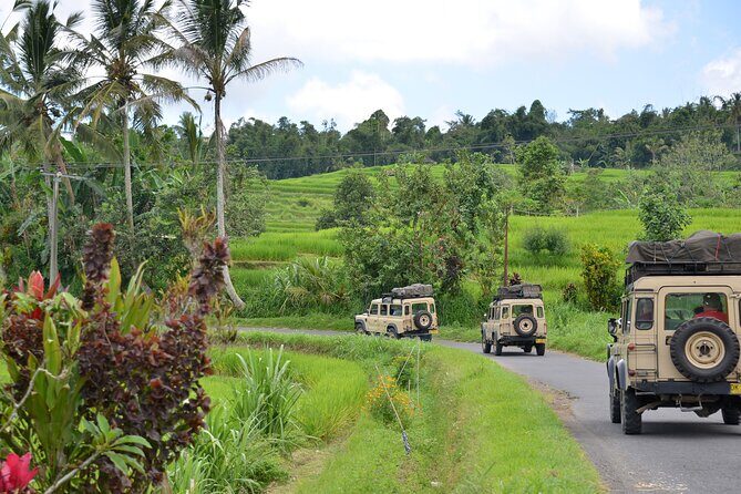 Bali 4WD Adventure WakaLand UNESCO Jatiluwih Trip in Bali Outback - Key Points