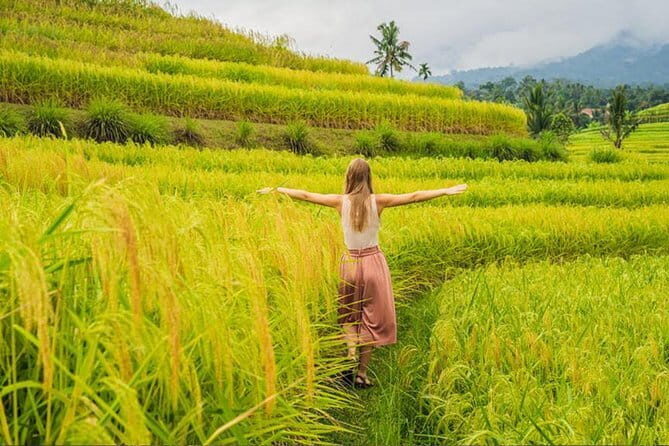 Bali Airport from or to Seminyak/Canggu/Sanur/NusaDua/Uluwatu - The Vehicle and Duration