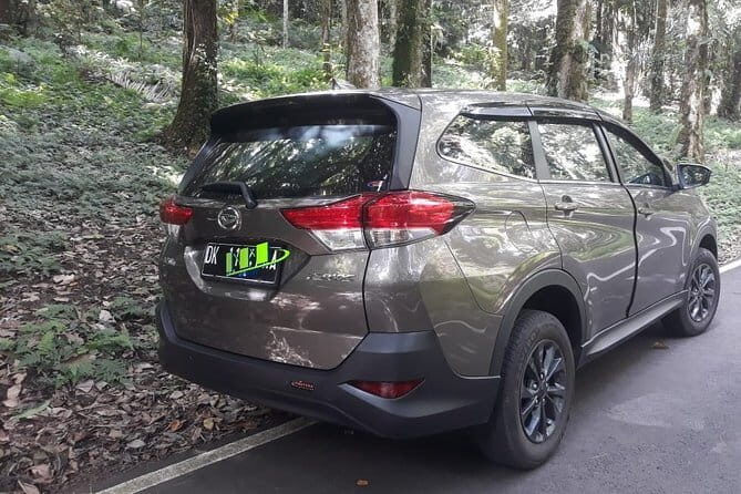 Bali airport transfer check in or check out Nusa dua area - Who Will Love This Service?