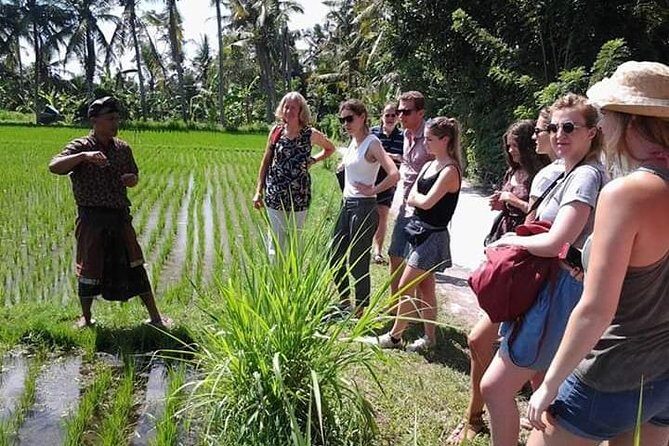 Bali Amazing Cooking Class - Frequently Asked Questions