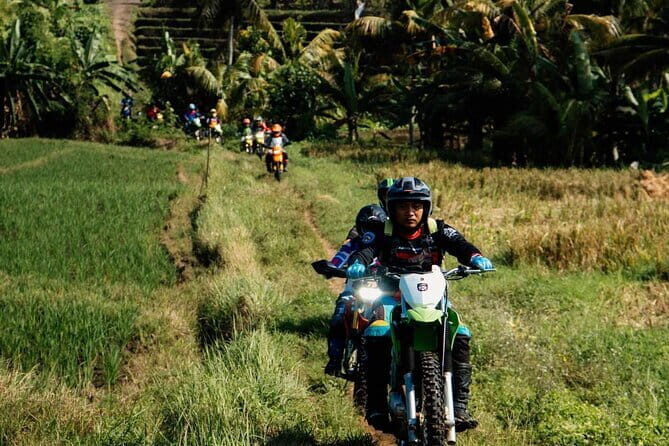 Bali ATV Quad Bike Adventure, Ubud Swing & Monkey Forest - The Sum Up