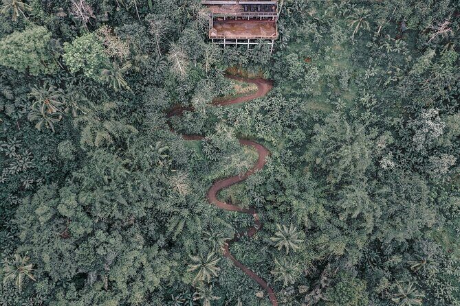 Bali ATV Quad Bike Adventure with Gorilla Cave Pass By Waterfall - Who Is This Tour Best For?