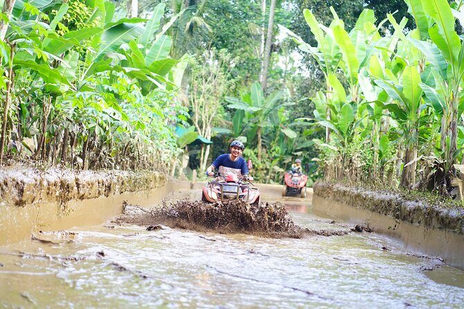 Bali ATV Quad Bike Single with Waterfall and Gorilla Cave+ Lunch - Key Points