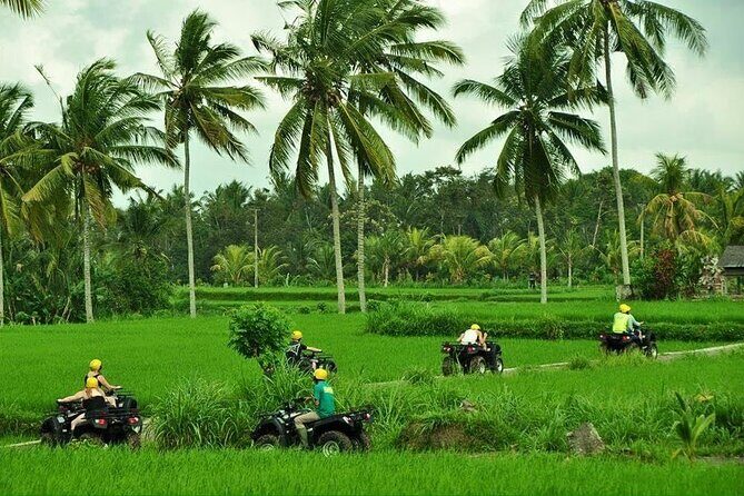 Bali ATV Ride tour Ubud - An Introduction to the Bali ATV Ride Tour Ubud