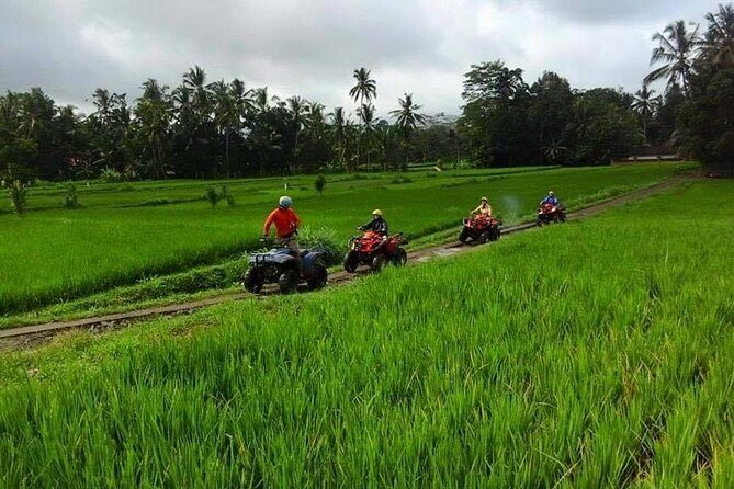 Bali ATV Ride tour Ubud - Customer Reviews: What Travelers Say