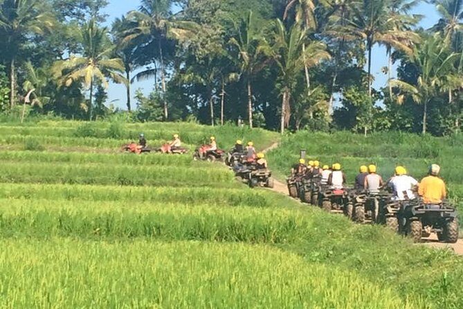 Bali ATV Ride Ubud Jungle Track - An Introduction to the Bali ATV Jungle Track
