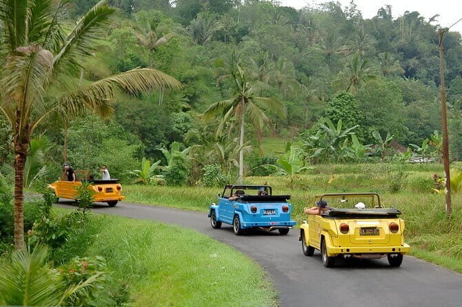 Bali: Bedugul Temple, Banyumala Waterfall, UNESCO Rice Terrace - Who Is This Tour For?