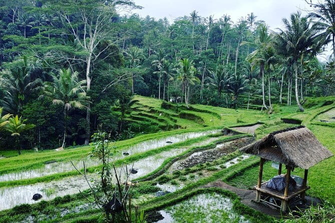 Bali: Best Eastern Waterfalls with Private Bali Tours - FAQ