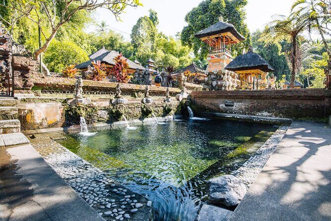 Bali Best Of Ubud Tour Private and All Inclusive - Practicalities and Tips