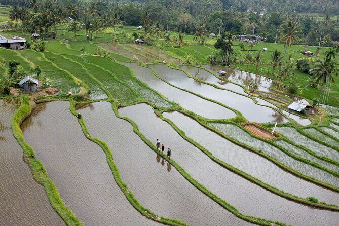 Bali Bike Tour Ubud Area - Practical Tips & Considerations