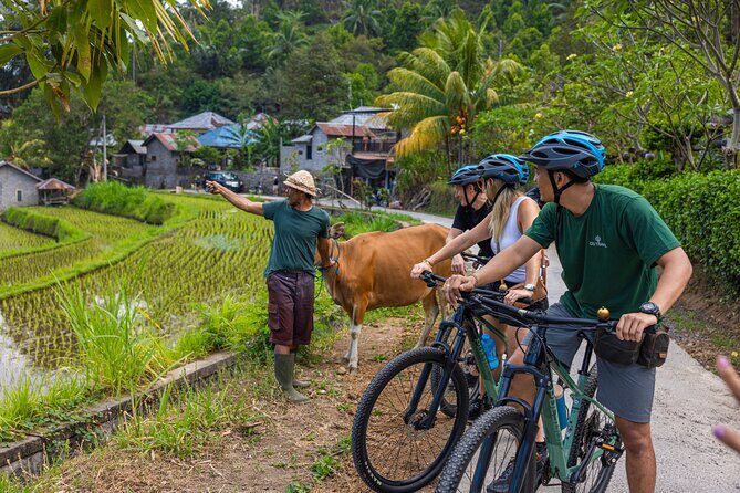 Bali Bike Tour Ubud Area - The Sum Up: Is This Tour Right for You?