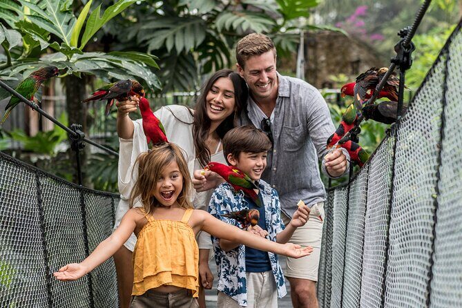 Bali Bird Park Admission Ticket - A Closer Look at the Bali Bird Park Experience