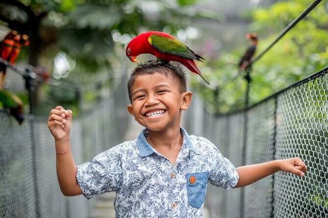Bali Bird Park Admission Ticket - Practical Details and Tips
