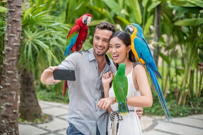 Bali Bird Park Admission Ticket - Who Should Consider Visiting?