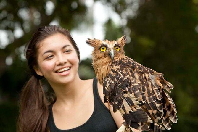 Bali Bird Park Admission Ticket with Hotel Transfer - Key Points