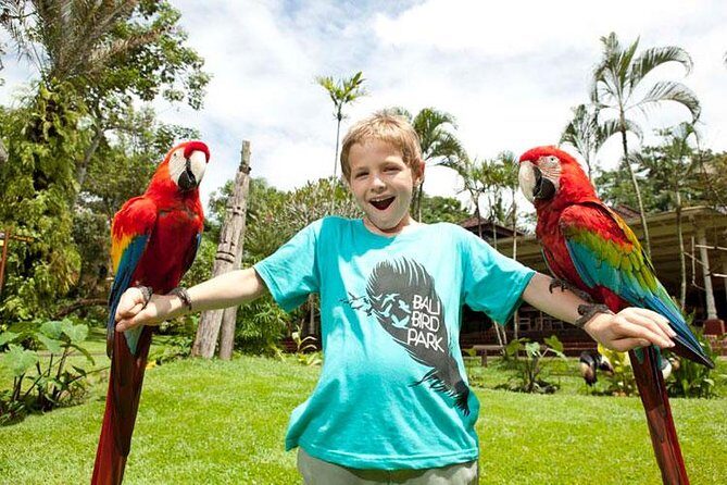 Bali Bird Park Admission Ticket with Hotel Transfer - FAQ: Practical Questions About Bali Bird Park with Hotel Transfer