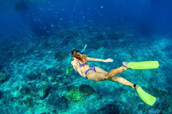 Bali Blue Lagoon Snorkeling and Waterfall Day Tour with Lunch - What Travelers Say: Authentic Feedback