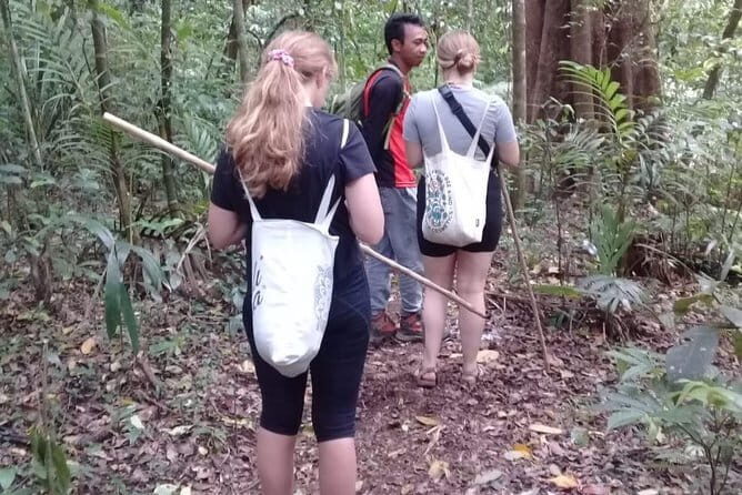 Bali Blue Lagoon Snorkeling and Waterfall Day Tour with Lunch - Who Will Love This Tour?