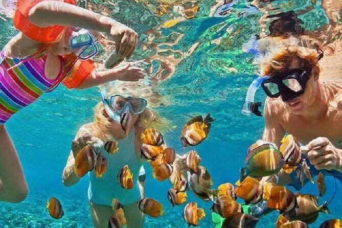 Bali : Blue Lagoon Snorkeling combine with Bali Swing in Ubud - Final Thoughts on Value and Suitability