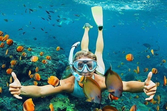 Bali : Blue Lagoon Snorkeling combine with Bali Swing in Ubud - Final Word