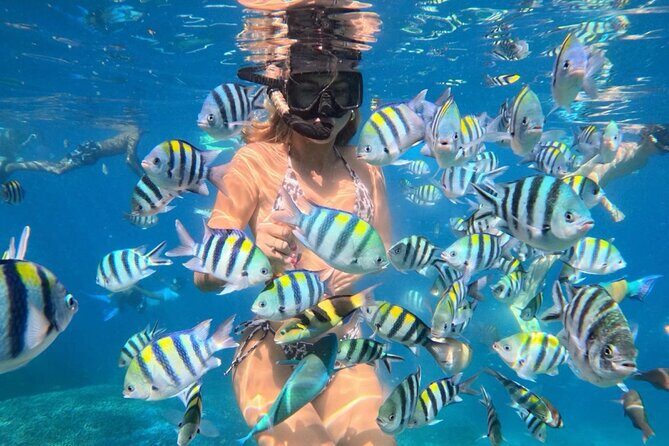 Bali Blue Lagoon Snorkeling - Lunch and Transport All Inclusive - Key Points