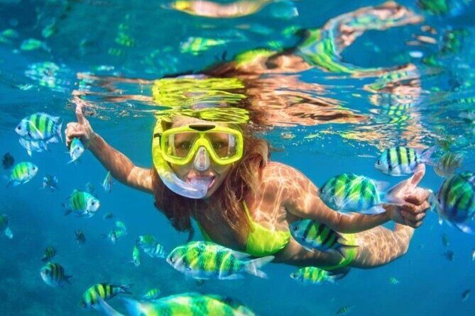 Bali Blue Lagoon Snorkeling - Lunch and Transport All Inclusive - Detailed Overview of the Itinerary