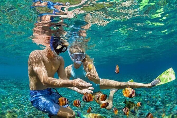 Bali Blue Lagoon Snorkeling - Lunch and Transport All Inclusive - Authentic Experiences and Guest Feedback