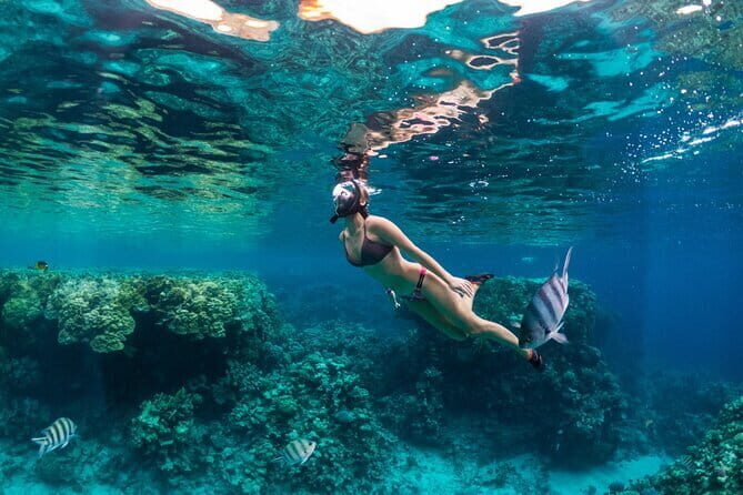 Bali Blue Lagoon Snorkeling Tour All Inclusive - What to Expect from the Bali Blue Lagoon Snorkeling Tour
