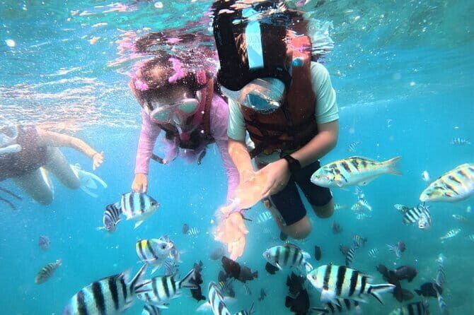 Bali Blue Lagoon Snorkeling Tour All Inclusive - The Sum Up