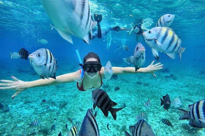 Bali Blue Lagoon Snorkeling with optional Tours and Activity - Practical Details and Tips