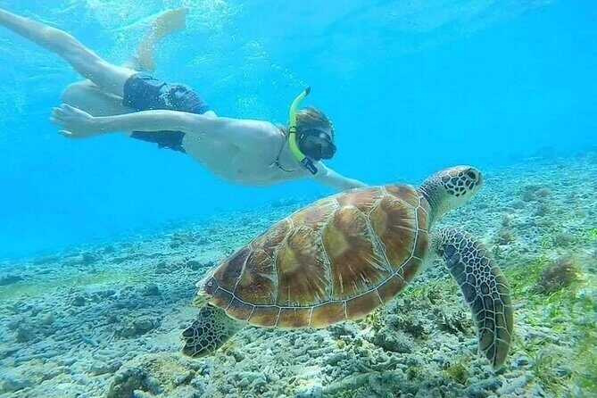 Bali Blue Lagoon Snorkeling with Private Transfer & Lunch - The Sum Up