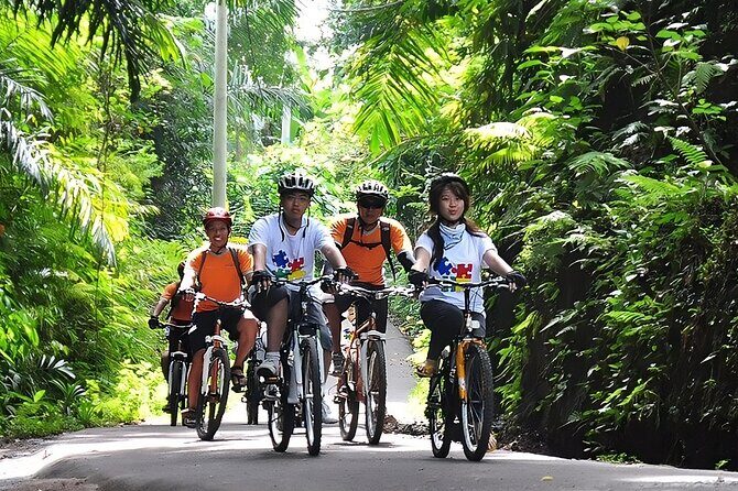 Bali Buggy and Ayung Rafting Packages - Key Points