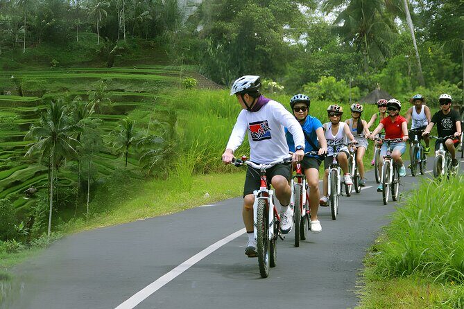 Bali Buggy and Ayung Rafting Packages - Who Is This Tour Best For?