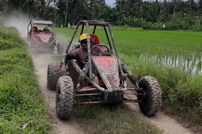 Bali Buggy UTV Adventure in Ubud - The Sum Up