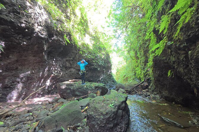 Bali Canyoning Trip Explore Hidden Waterfalls & Gorges - The Itinerary: An In-Depth Look