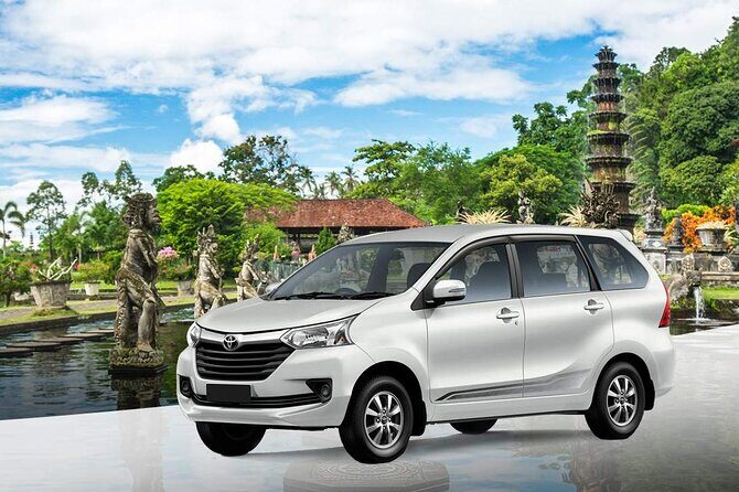 Bali Car Hire with Driver - Who Is This Tour Perfect For?