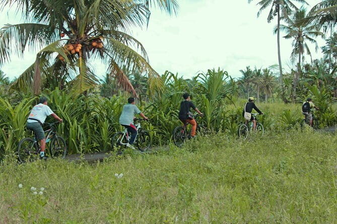 Bali Countryside Eco Cycling Tour include Lunch - Key Points