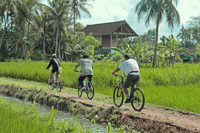 Bali Countryside Eco Cycling Tour include Lunch - FAQs