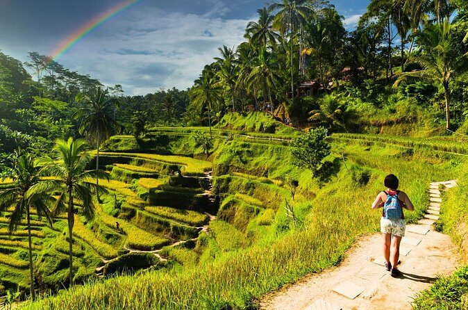 Bali Cultural Experience - Who Is This Tour Best For?