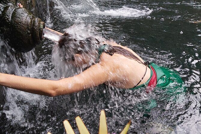 Bali Culture Tour - Water Blessing Experienced - All Inclusive - The Value of the Tour