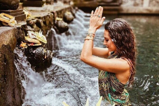 Bali Customizable Multi Language Tour with Driver-Guide - The Sum Up: Who Will Love This Tour?