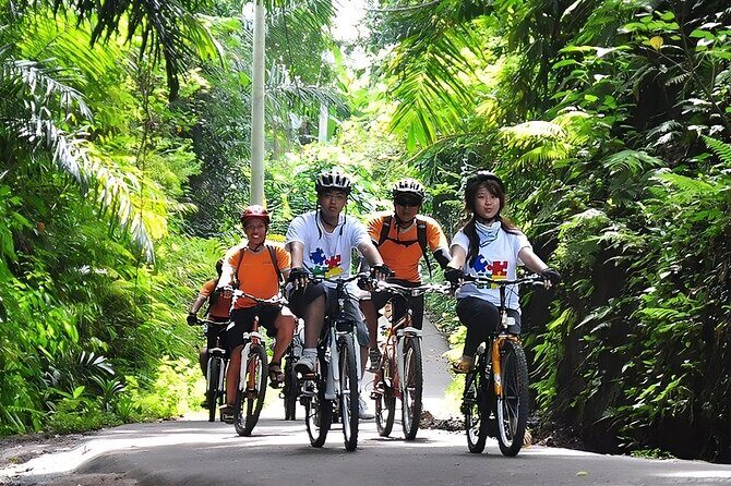 Bali Cycling and Ubud Waterfall Tour - Key Points