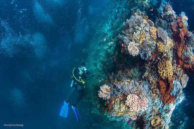 Bali Diving Day Trip-Manta Point/Tulamben Shipwreck-Fun Dive - The Itinerary: What to Expect from the Bali Diving Day Trip