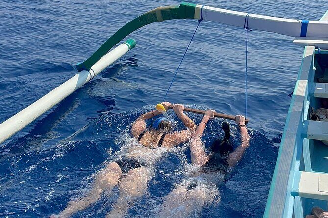 Bali : Dolphin Sunrise Experience Tour Private All Inclusive - Who Should Consider This Tour?