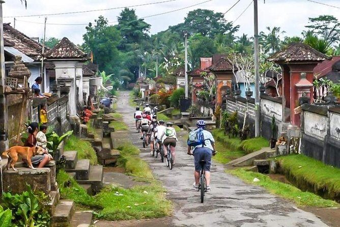 Bali Downhill Cycling and White Water Rafting - Detailed Review of the Bali Downhill Cycling and White Water Rafting Tour
